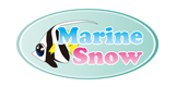 千葉館山ダイビングスクール produce by Marine Snow
